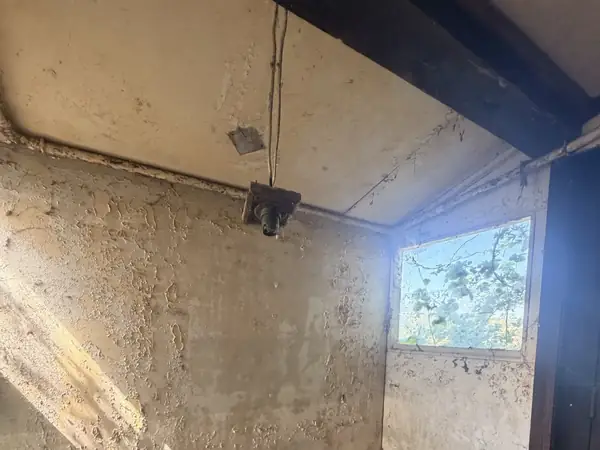 Asbestos-lined shed wall panels removed in Woking